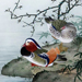 Gyokukei Mochizuki Gallery